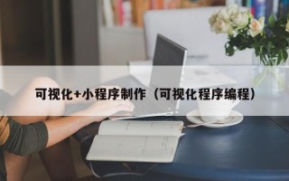 内蒙古可视化+小程序制作（可视化程序编程）